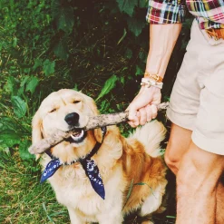 Best Kiel James Patrick Atlantic Whalers