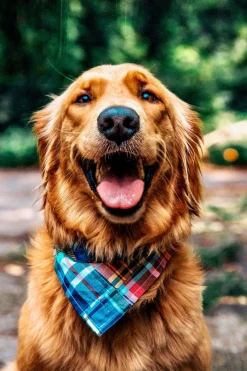 Kiel James Patrick Montauk Patchwork Madras Bandana