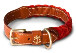 Discount Kiel James Patrick Narragansett Lifeguard Dog Collar