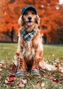 Sale Kiel James Patrick New England House Flandana