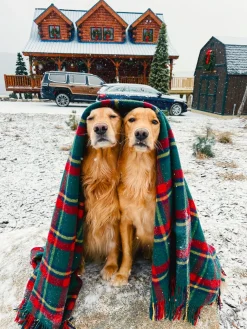 Clearance Kiel James Patrick The Manchester Tartan Blanket