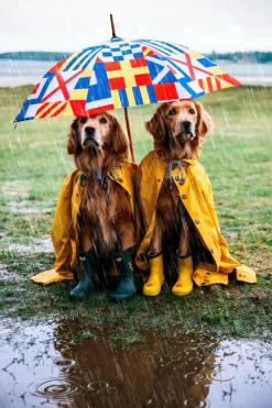 Sale Kiel James Patrick The Maritime Umbrella