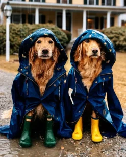 Clearance Kiel James Patrick The Old Salt Navy Raincoat- Men'S