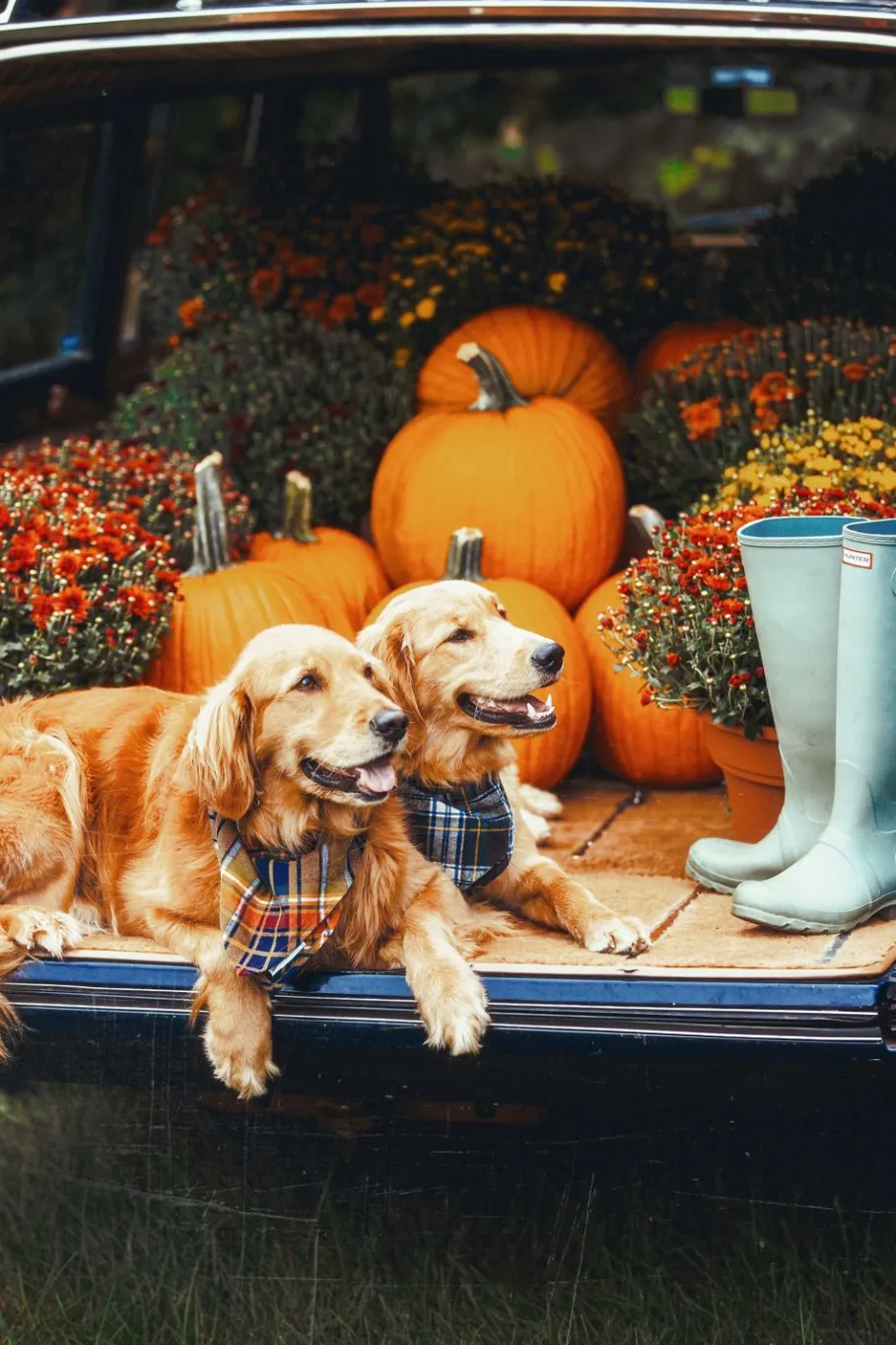 Hot Kiel James Patrick Woodstock Country Store Flandana