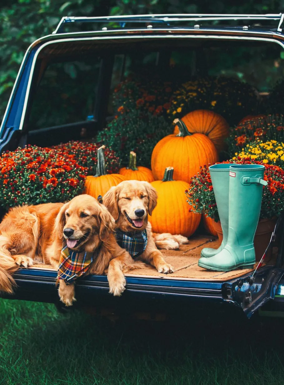 Hot Kiel James Patrick Woodstock Country Store Flandana